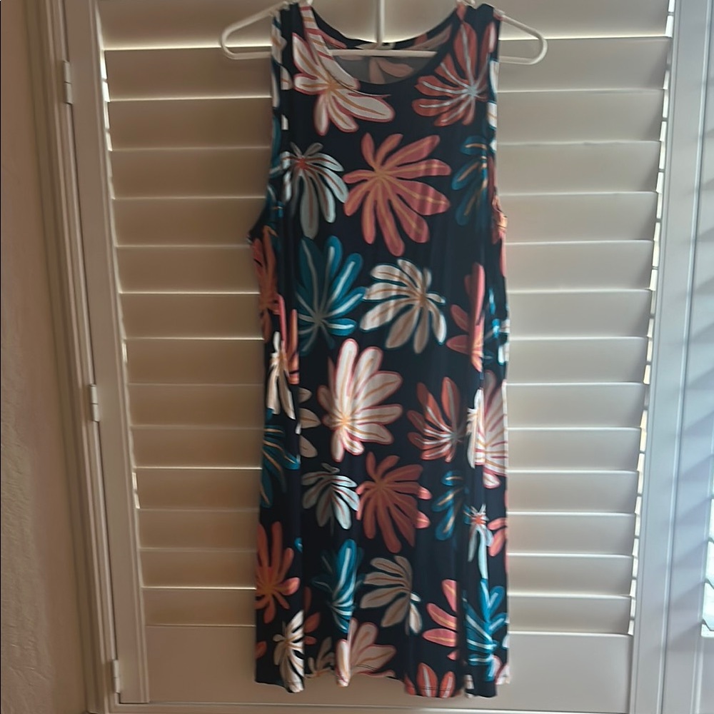 Loft Factory shift dress.  Size large.